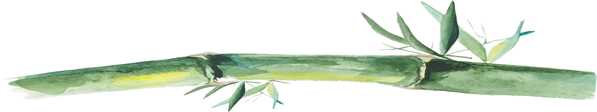 模様