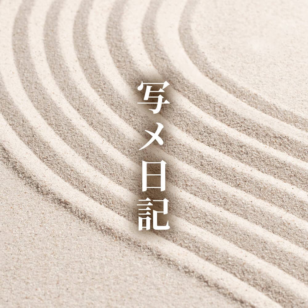 写メ日記